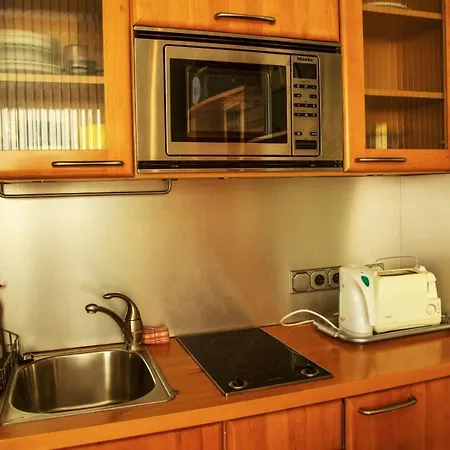Appartement Mini Studio In The Center Of Prague. *